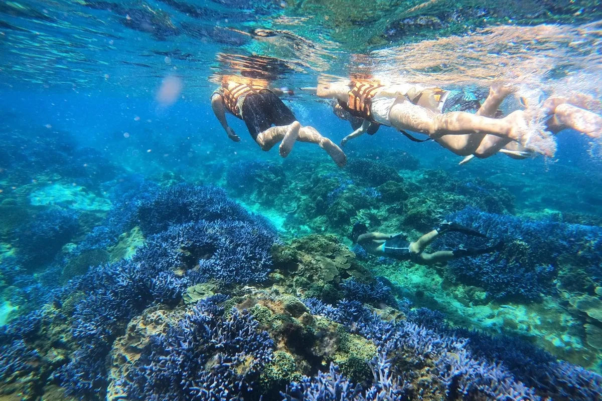 澎湖最夯人氣體驗「南海四島一日遊」，走訪澎湖指標性景點，還可體驗浮潛活動，是眾多旅客的首選路線。業者提供
