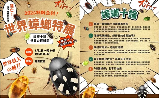 宜蘭推「世界蟑螂特展」　最貴身價堪比機車、還能預約摸蟑螂