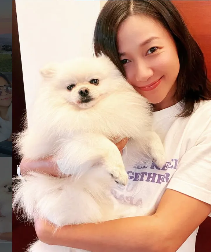 徐靜蕾常常秀愛犬。翻攝徐靜蕾IG