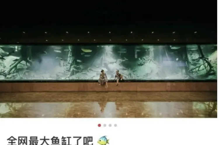 Eva曾展示家中超大魚缸，據說養鯊魚。翻攝微博