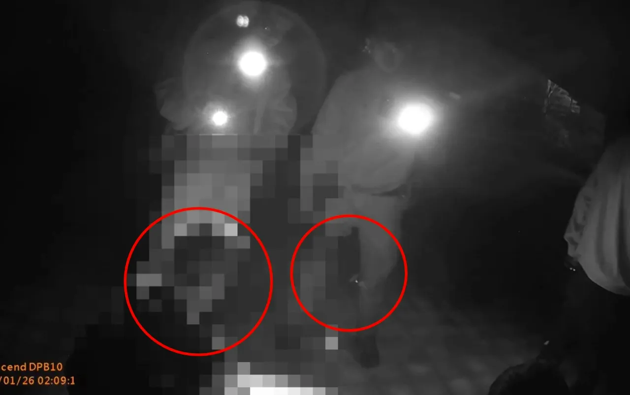 警方詢問金飾流向，嫌犯卻稱逃跑的時候丟掉了，警員回嗆「鬼才相信」。翻攝畫面