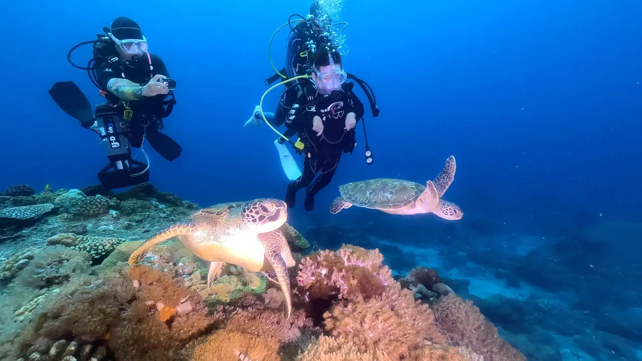 莊富凱遠征綠島潛水，透過節目終於排除阻礙實現與魚、海龜同游的夢想。公視提供
