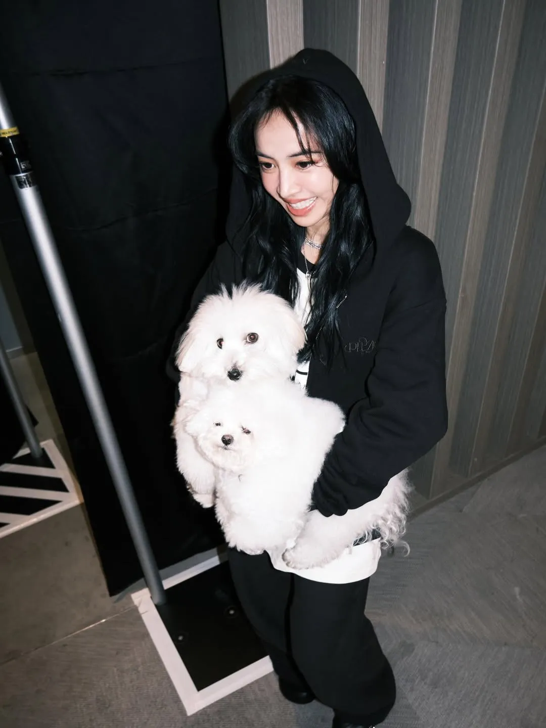 蔡依林抱著爱犬社长和Hani。翻摄蔡依林IG