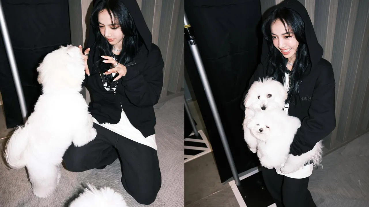 蔡依林帶著寶格麗珠寶，合影愛犬社長和Hani。翻攝蔡依林IG