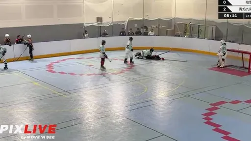 冰上曲棍球國手暴打國中生　失控影片曝光！下場GG了