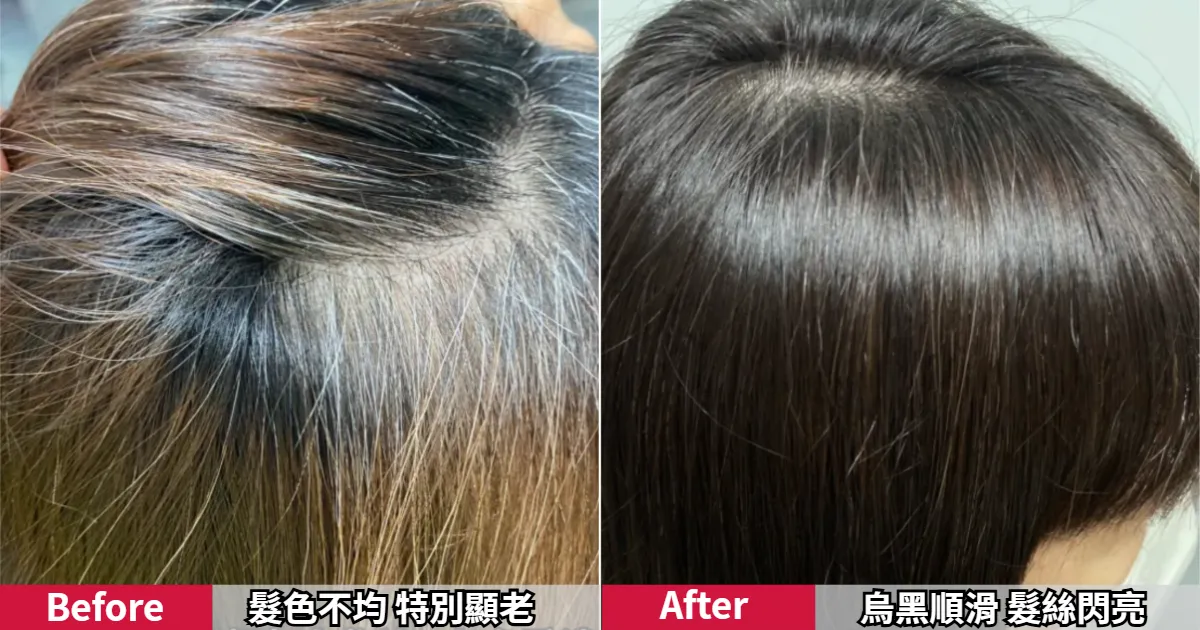 染前灰白髮參差不齊，特別顯老，染後變得烏黑有神。