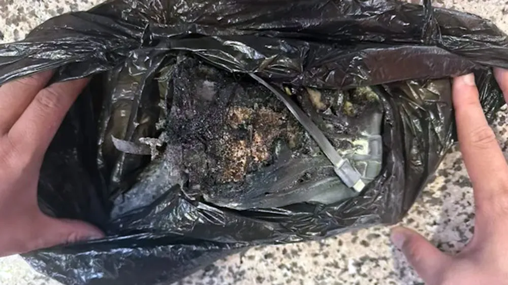 行动电源自燃烧毁。翻摄自微博