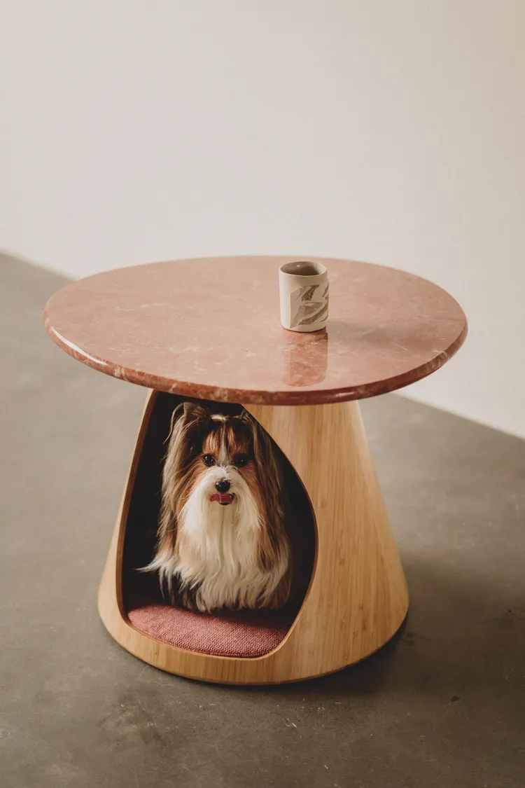 The Hatch 巢几。品牌提供