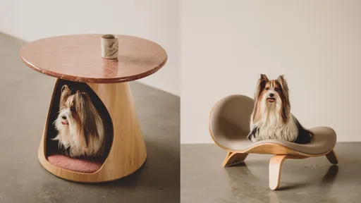 PAMITIE不只为人设计的家　人宠共享家具将陪伴写进设计里