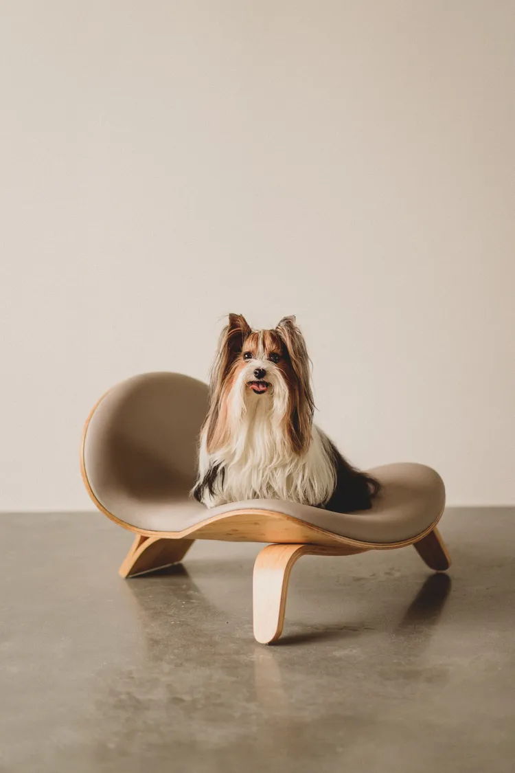 The Hatch 巢几。品牌提供