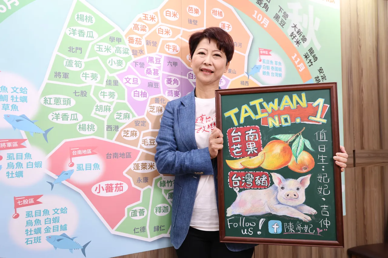 民進黨立委陳亭妃。莊宗達攝