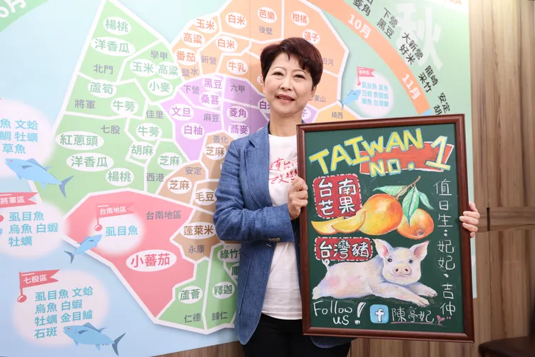 民進黨立委陳亭妃。莊宗達攝