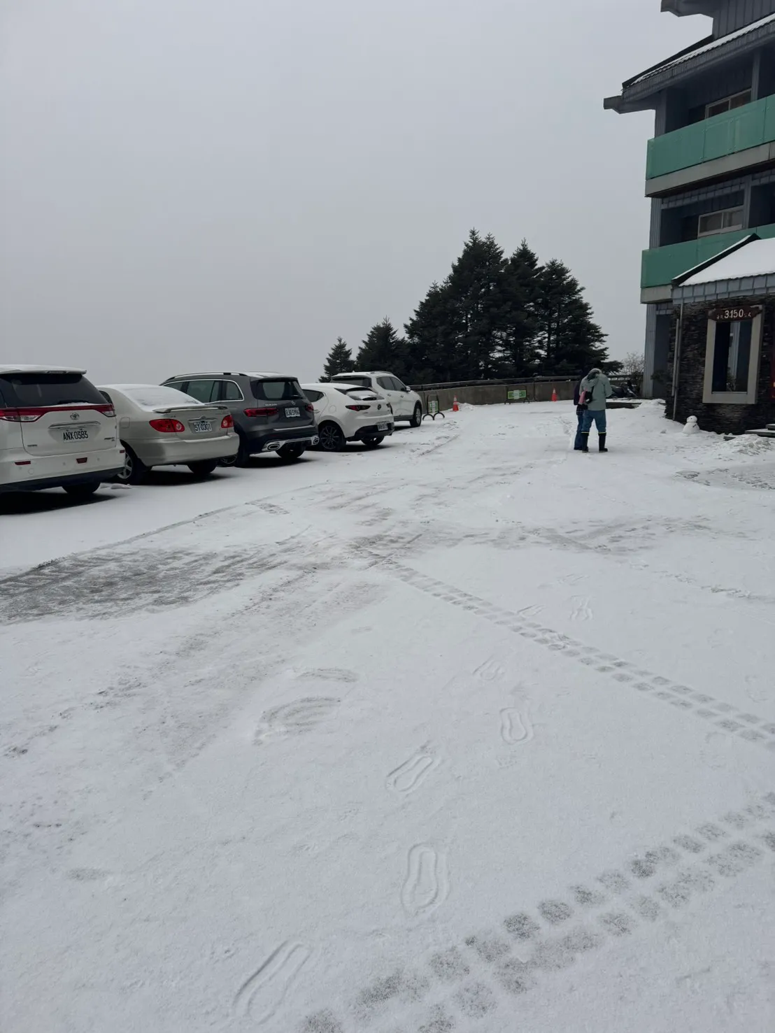 合欢山目前积雪1公分。林业保育署南投分署提供