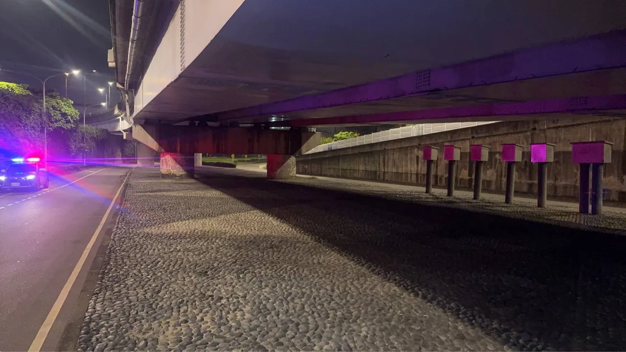 疑遊民陳屍新北大橋下。翻攝畫面