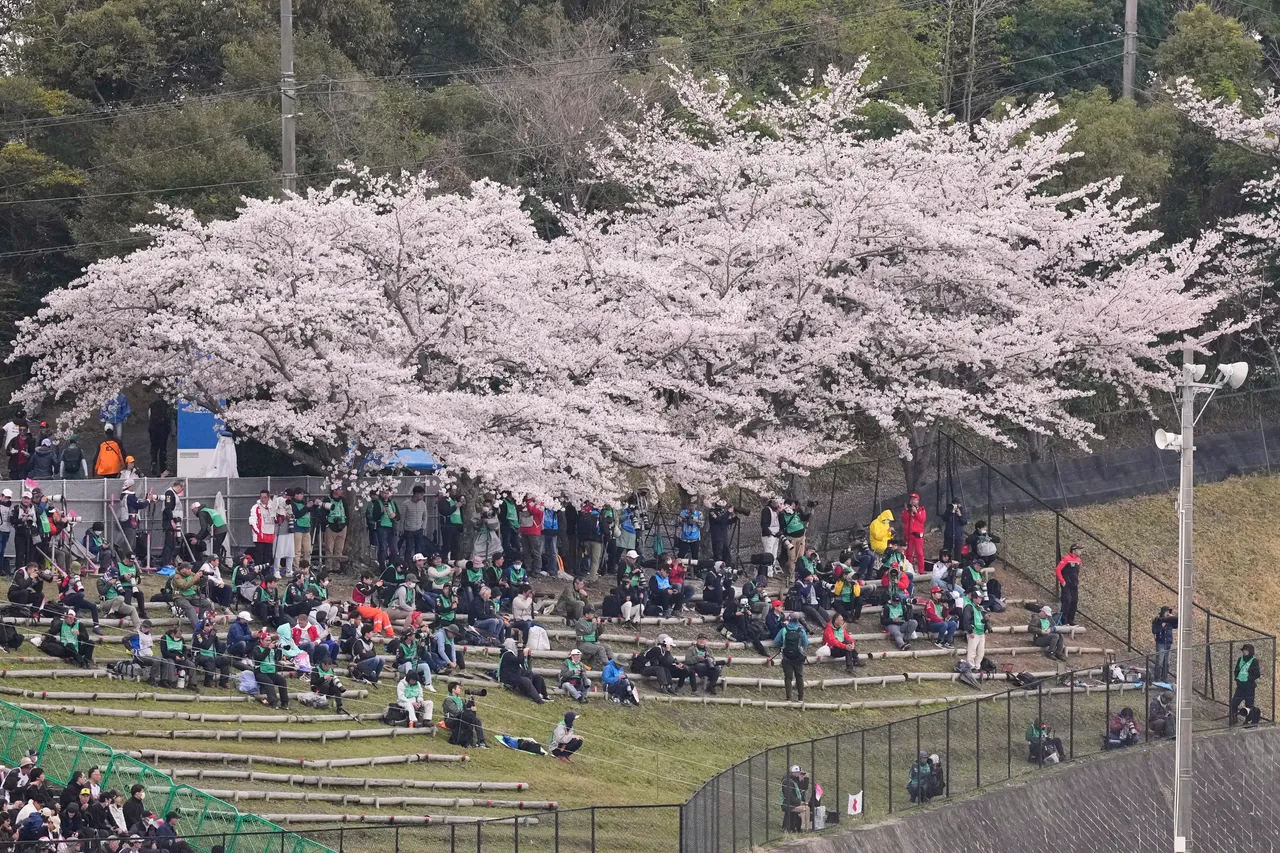 机票先买好！日本「樱花前线」预测出炉　各地赏樱日一次看