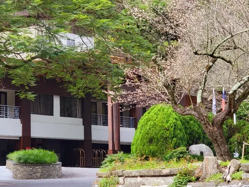 太魯閣晶英迎來一期一會梅花雪　銀白花海譜寫冬日峽谷感官之旅