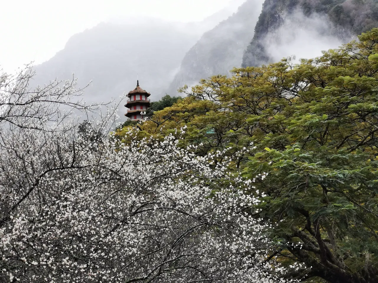 太魯閣晶英酒店週邊的祥德寺亦是賞花熱門景點。太魯閣晶英酒店提供