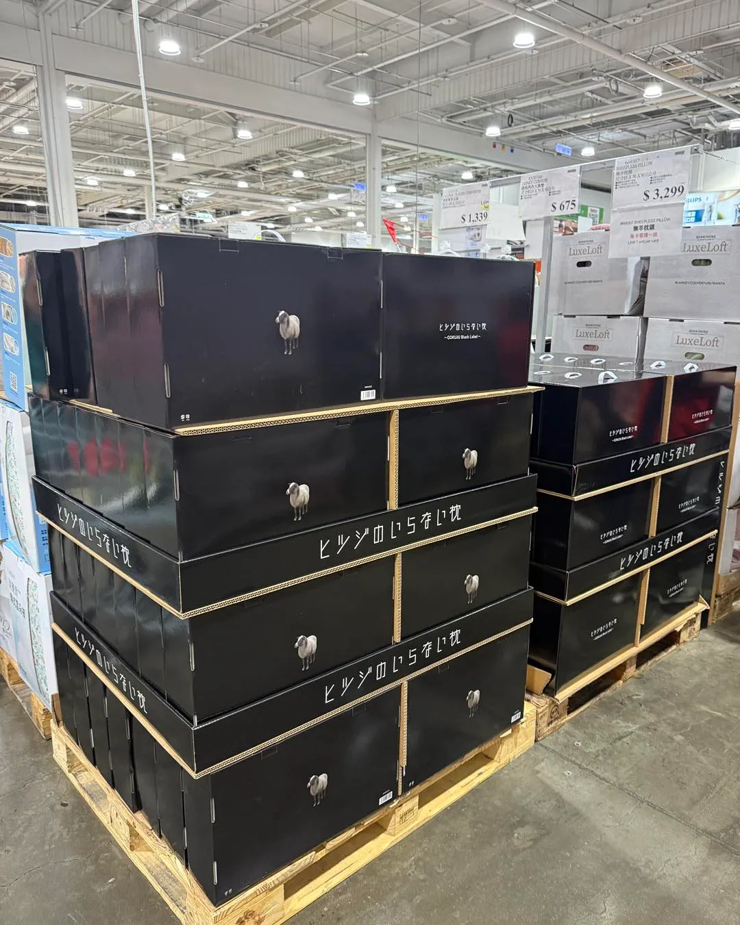 經常分享消費心得的部落客老虎狗，近期也去買了無羊枕頭。翻攝自Tigerdog/老虎狗臉書