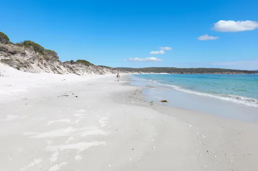 出包！旅行社AI撰文推薦秘境　遊客湧入朝聖竟「查無此處」