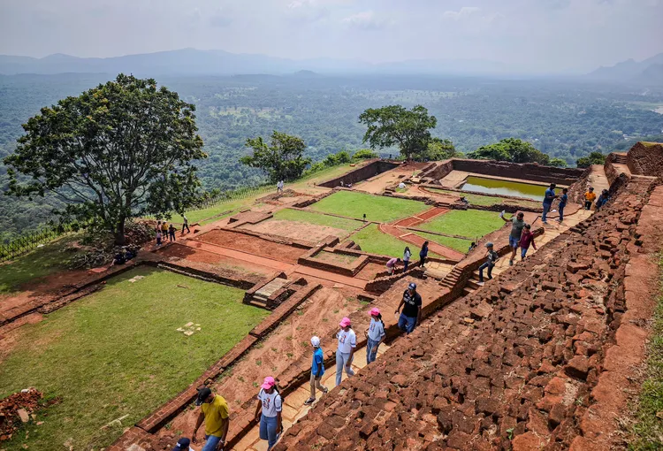 站在海拔約360公尺的頂峰俯瞰，四周是無邊無際的綠意。田欣雲攝