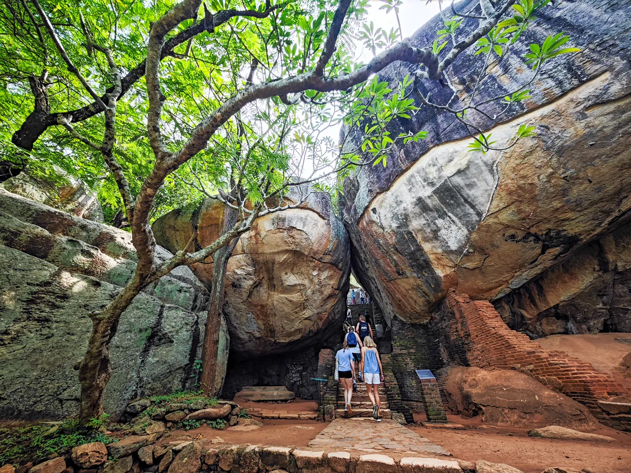 遊客在綠蔭掩映的岩石花園間拾級而上。田欣雲攝