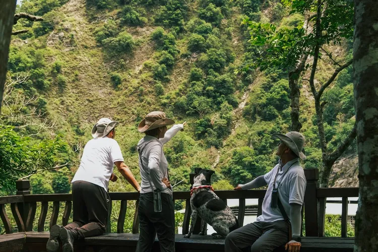 太魯閣晶英酒店周遭有許多值得探訪的景點與步道，特別推薦可同時體驗自然、生態與文化特色的塔比多步道。太魯閣晶英酒店提供