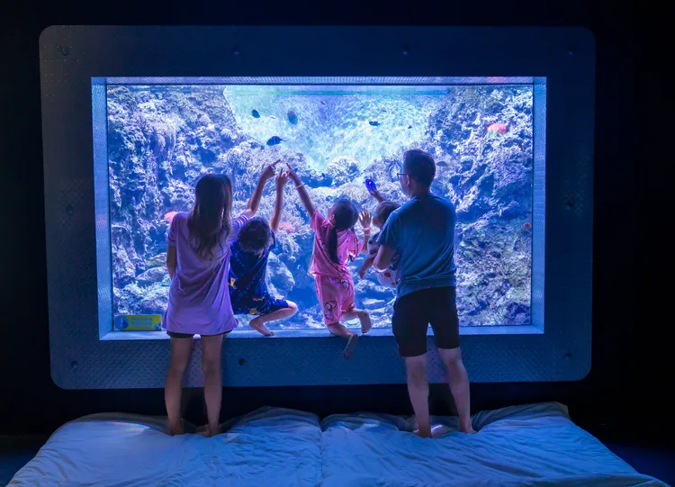 夜宿體驗有水族館、美人魚主題區及藍鯨艙宿營車等選擇。遠雄遊憩休閒事業提供