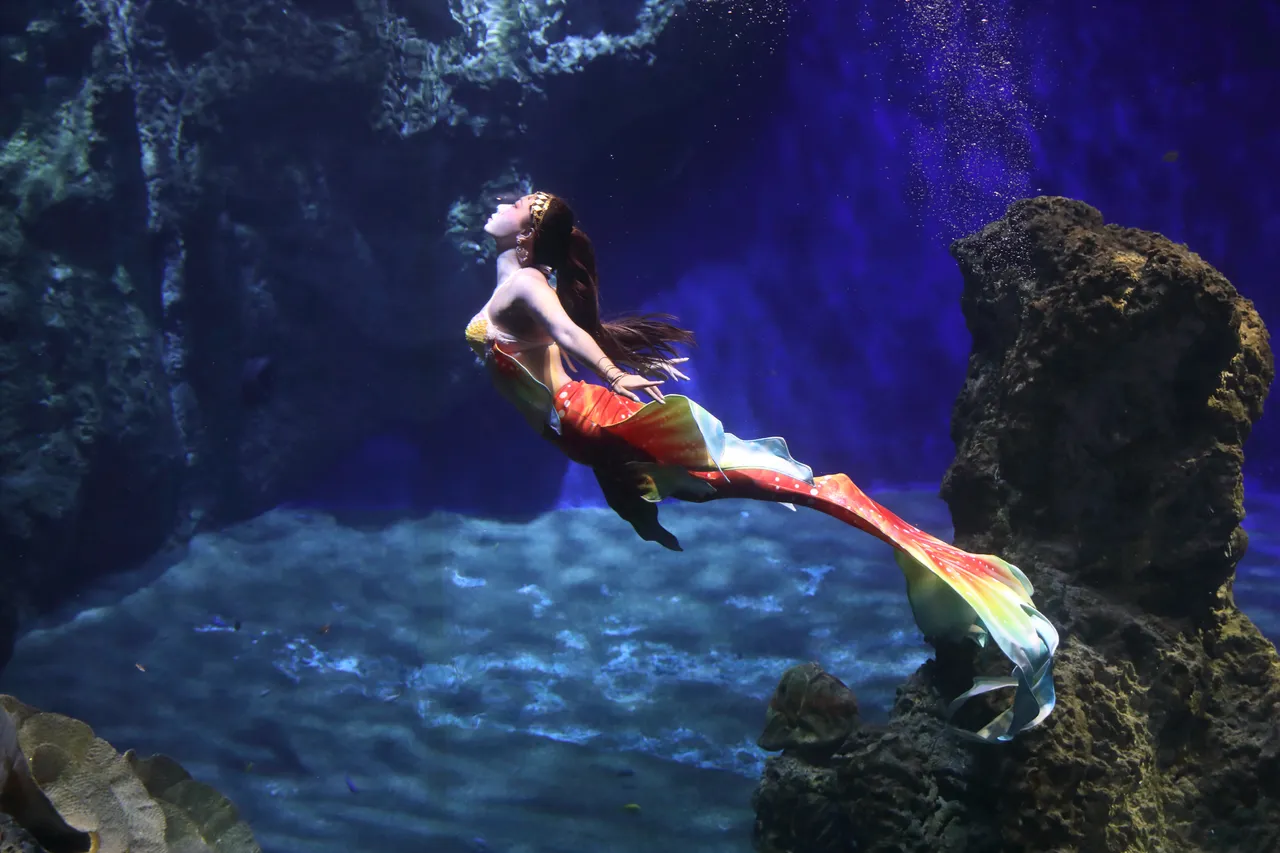 遠雄海洋公園美人魚實境秀。遠雄遊憩休閒事業提供