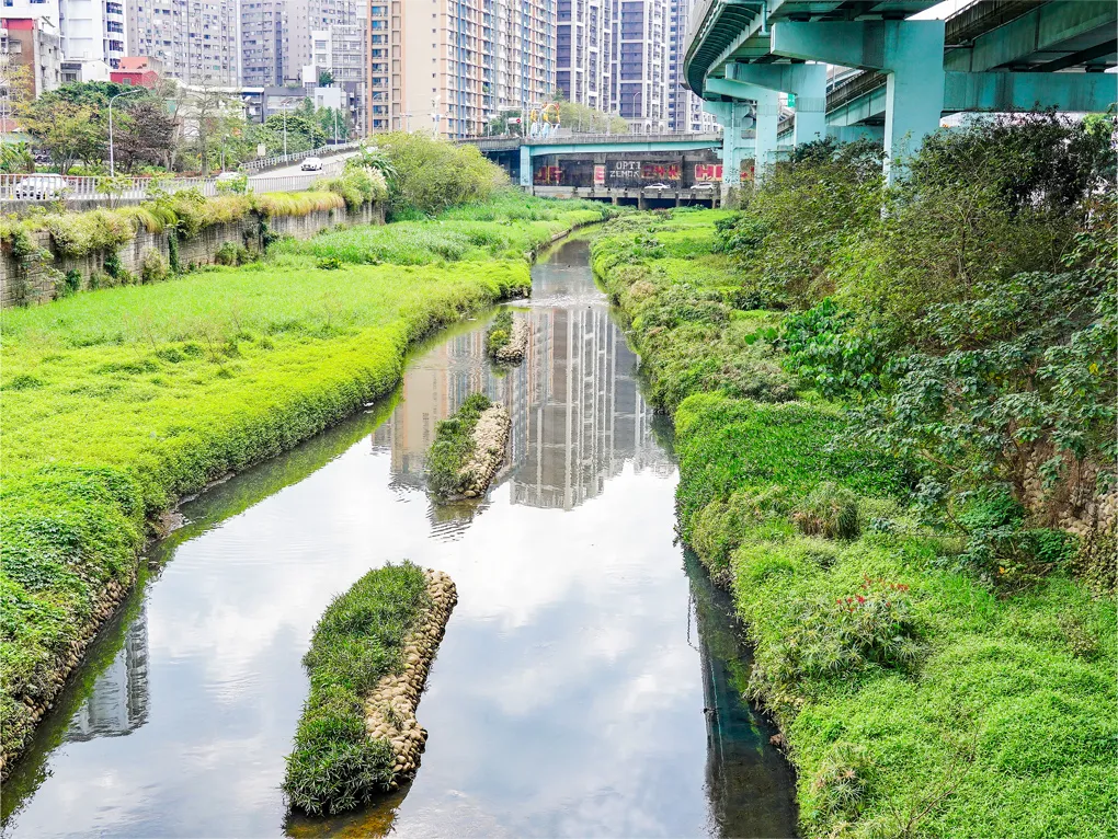 湳仔沟水域生态蜕变。水利局提供