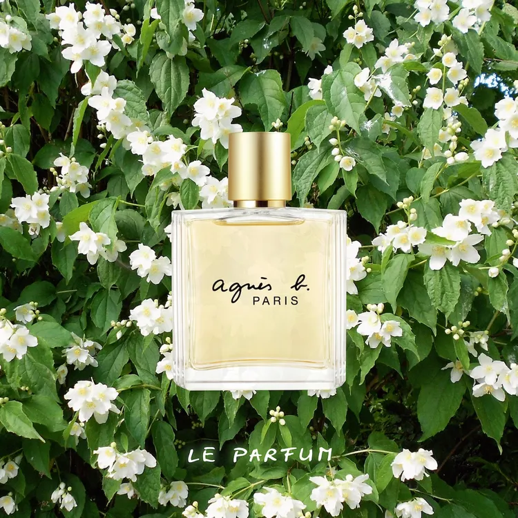 Le Parfum柔霧晚香，40ml／1790元、100ml／3690元。品牌提供