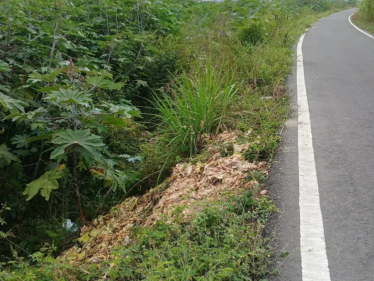 屏東縣環保局架設監視器，取締違規亂倒垃圾。翻攝畫面