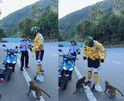 山道猴子「全身綁香蕉」　找好友野餐竟遭禁止