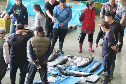 走讀海岸！走進漁港學海洋　蚵寮國小體驗家鄉海洋文化