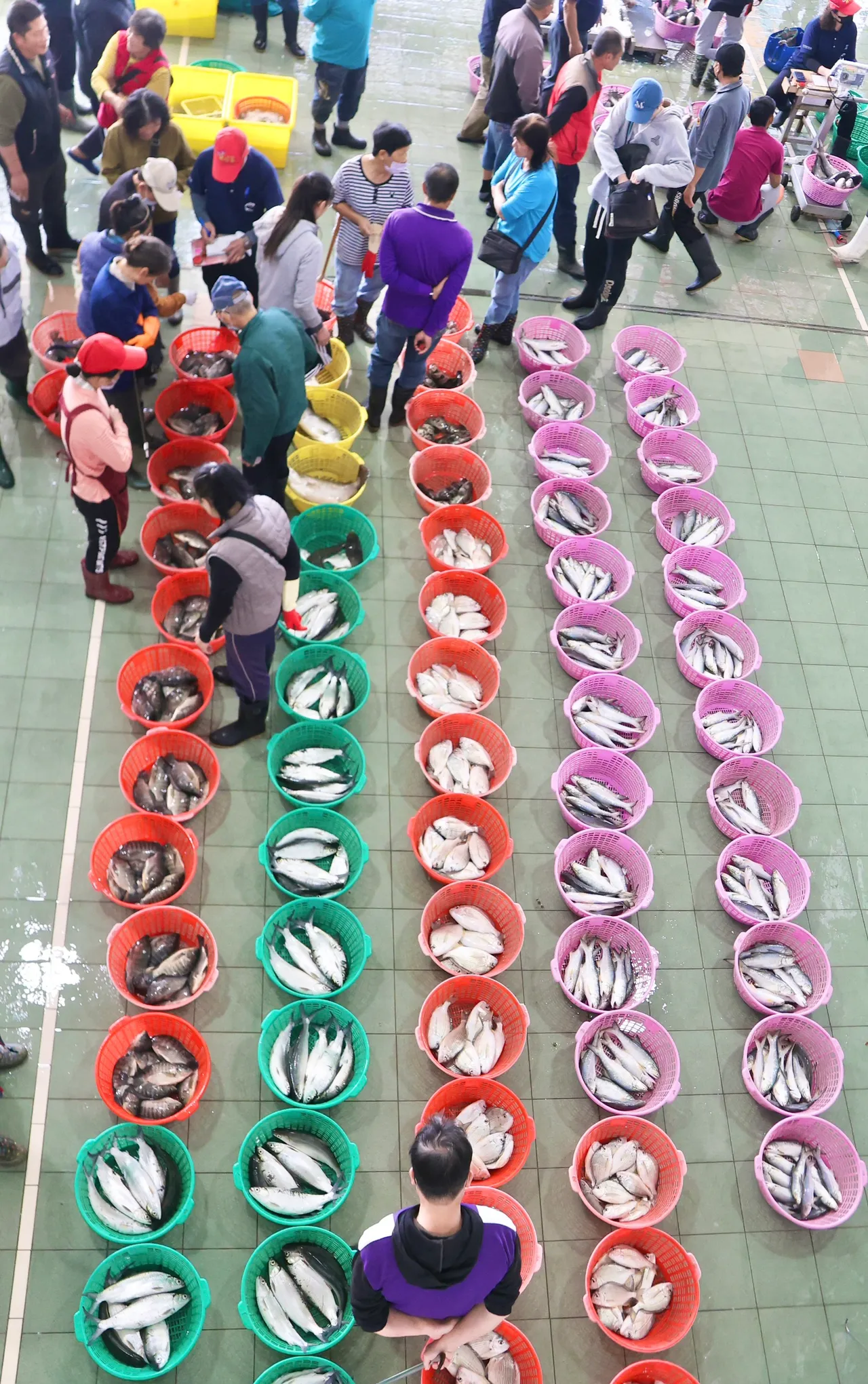 蚵寮國小學生參觀拍賣魚市場。翻攝畫面