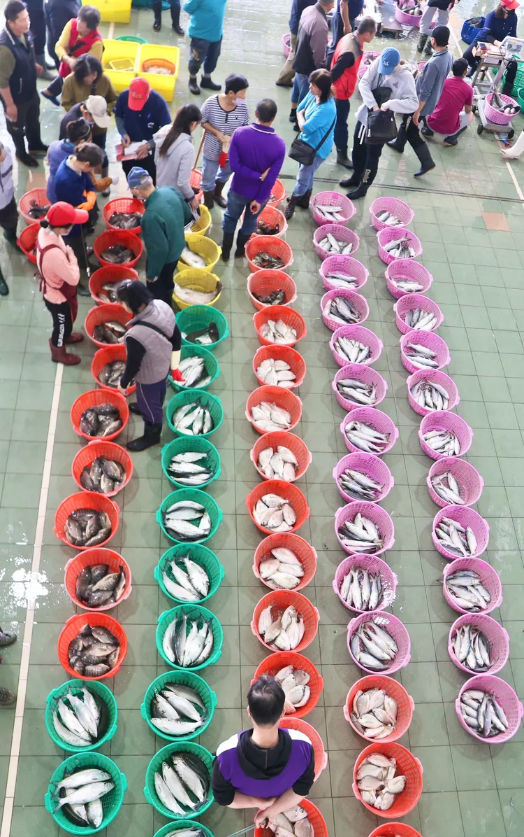 蚵寮國小學生參觀拍賣魚市場。翻攝畫面