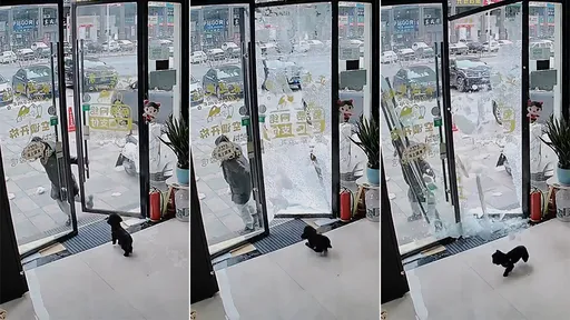 天生神力？男童關個門「玻璃爆裂門框拆毀」　媽媽淡定零反應