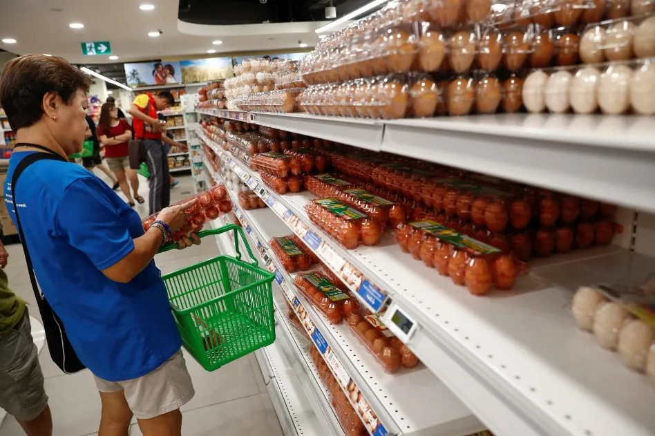 蛋鸡也「冷到缩」　国内鸡蛋明起一次涨3元
