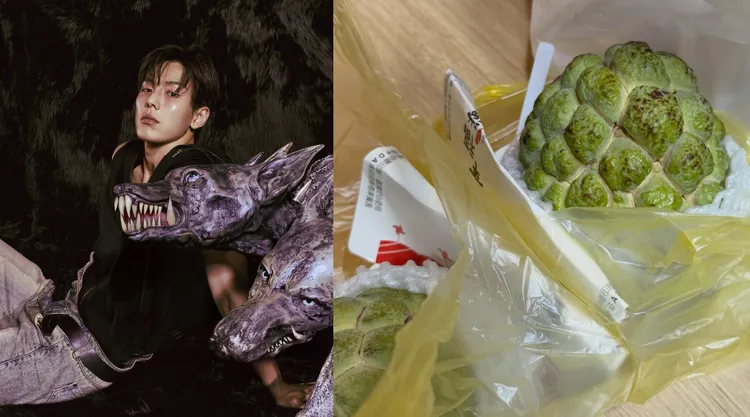 SHOWNU月初來台終於吃到釋迦，大讚「有錢也買不到的美味」。SHOWNOTE提供、翻攝SHOWNU IG