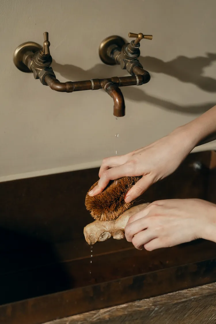 HOLA引進日本百年刷具品牌龜之子束子，超過20款品牌經典刷具，完整對應各式居家清潔情境。業者提供