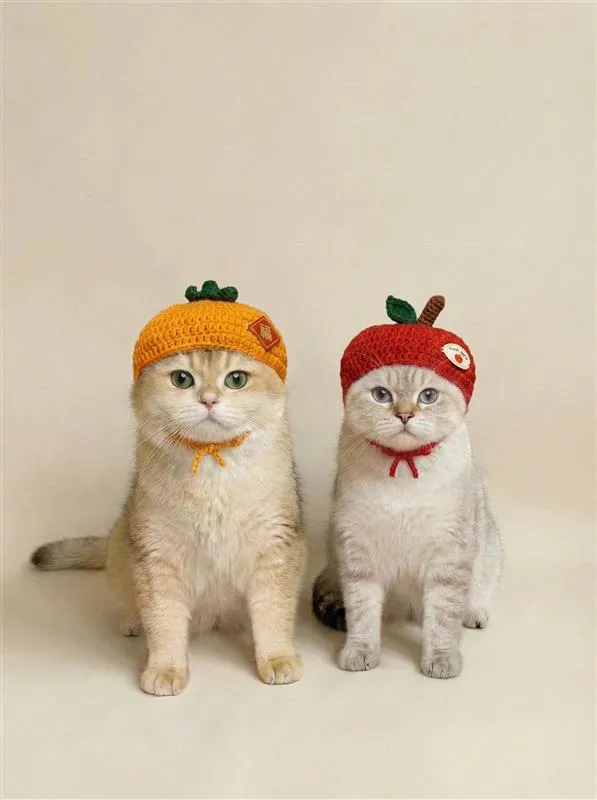 即日起門市消費滿299元更可獲得超可愛寵物水果拜年帽，數量有限，送完為止。業者提供