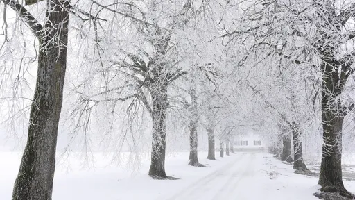 迎接大寒　5星座趁年終大賺一波