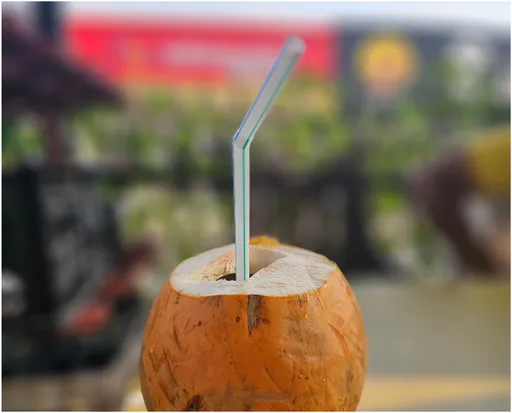 無藥可治！印度爆立百病毒　衛福部警告東南亞、南亞旅遊勿吃這些食物　