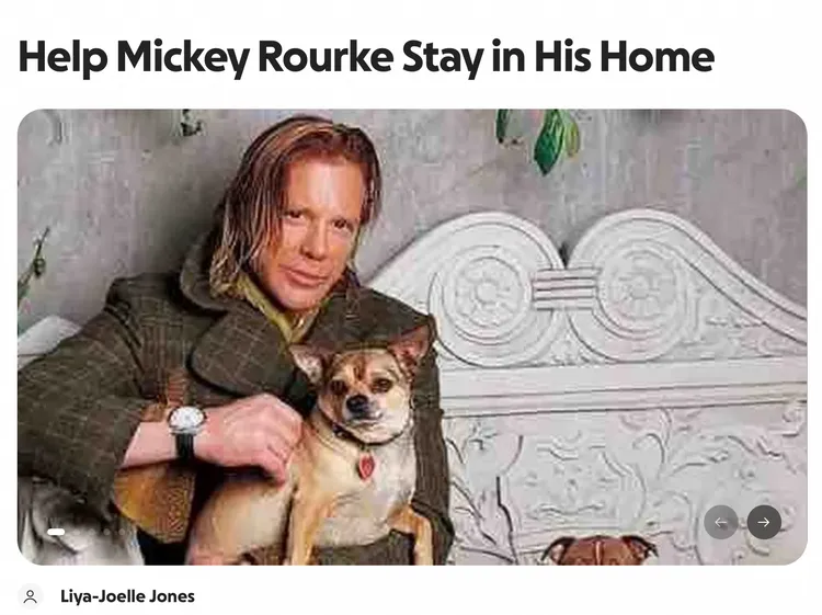 米基洛克募款網頁。翻攝網站