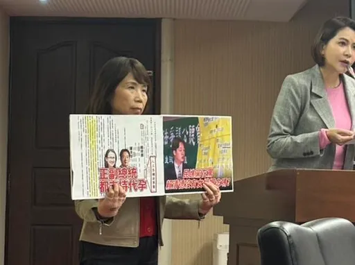 柯建铭坐镇审查《人工生殖法》！陈昭姿举牌：正副总统都支持代孕