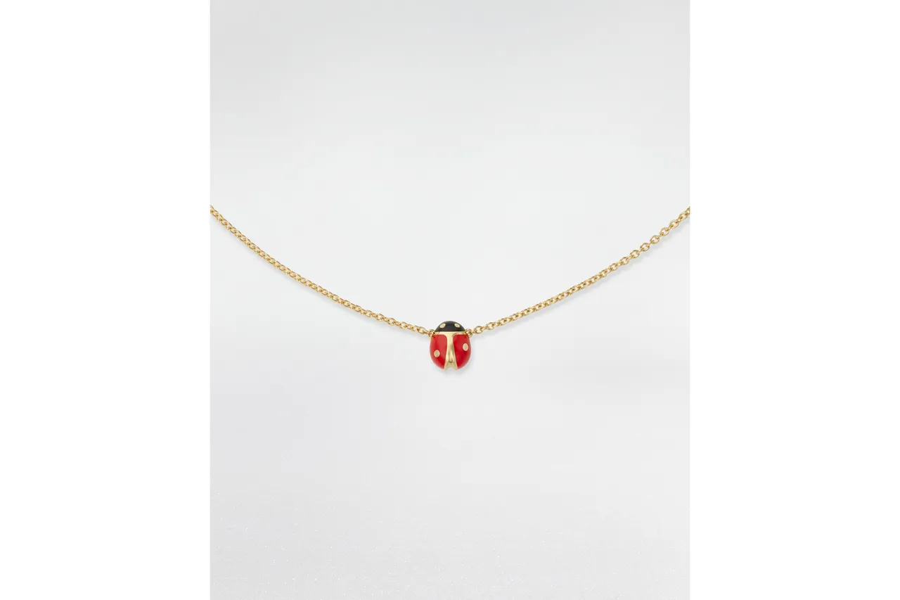 DIORETTE瓢蟲項鍊。品牌提供