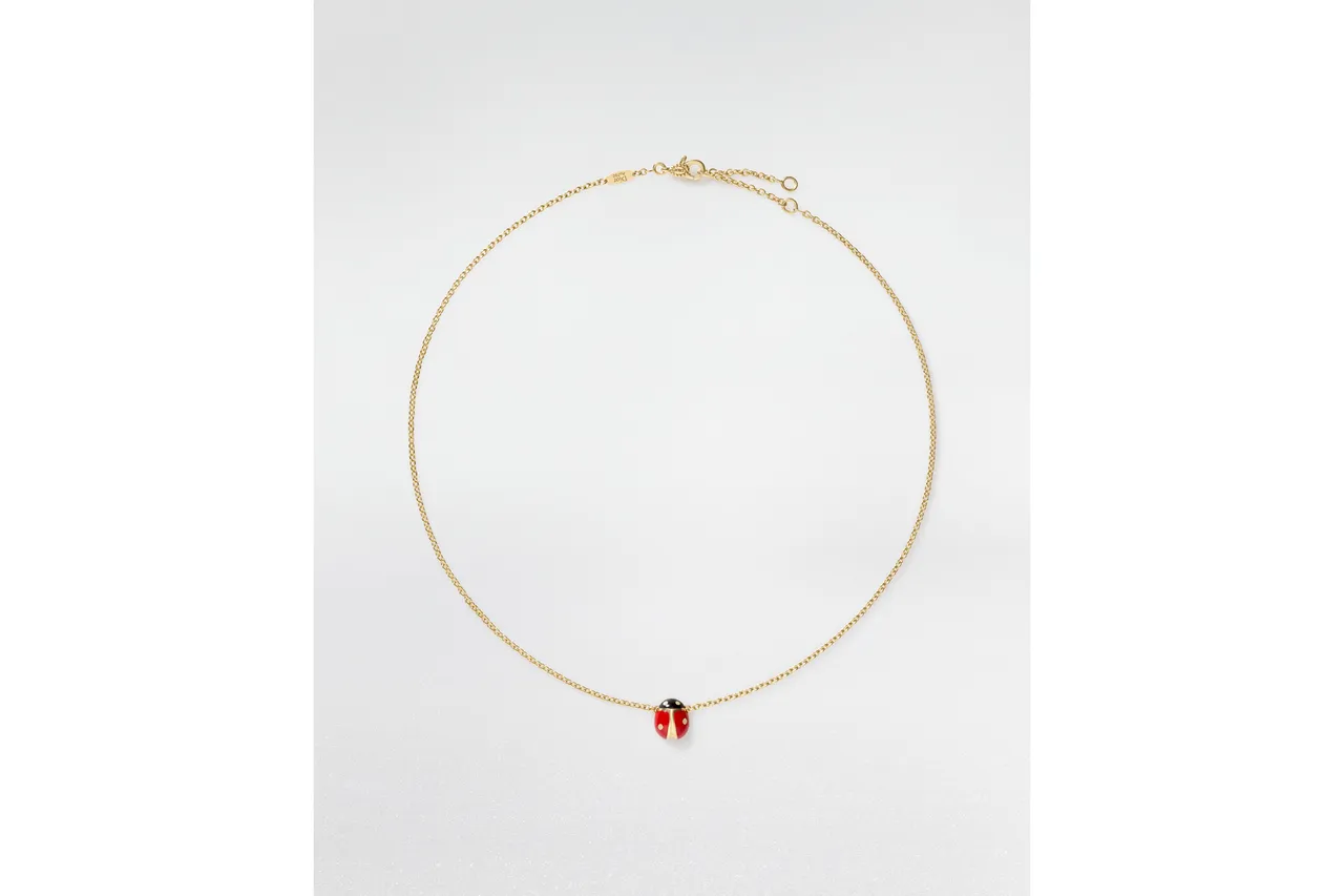 DIORETTE瓢蟲項鍊。品牌提供