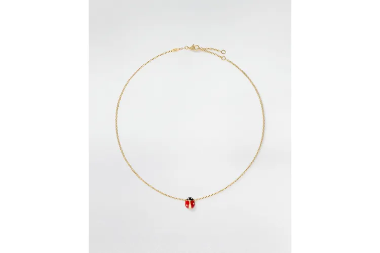 DIORETTE瓢蟲項鍊。品牌提供