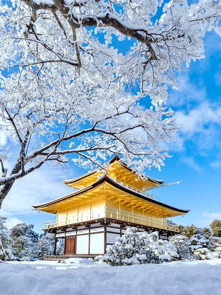 被白雪覆蓋的京都金閣寺。翻攝自X
