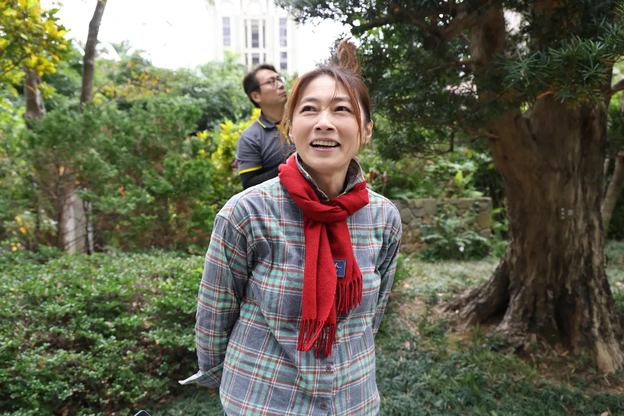 「陶朱隱園」專屬的樹木醫生詹鳳春表示，樹齡500年的羅漢松，是特別自日本移植來台。莊宗達攝