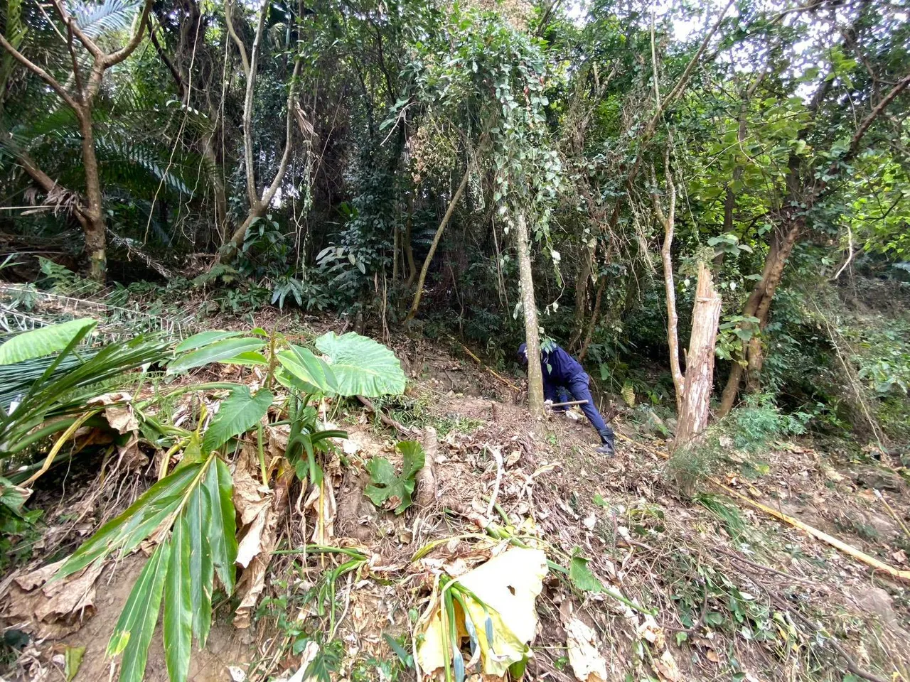 台中太平一名筍農在山區整地時，意外發現失蹤10年的邱女頭骨。民眾提供